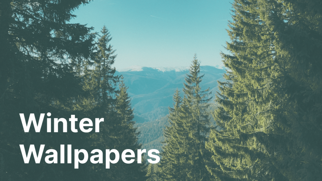 Winter Wallpapers